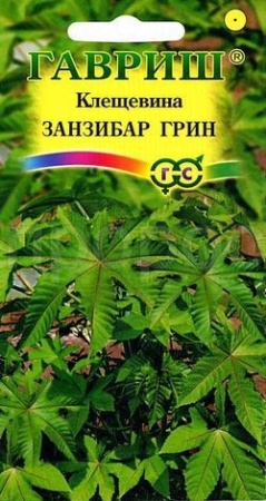 Клещевина Занзибар Грин 5шт