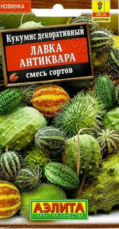 Кукумис декоративный Лавка антиквара, смесь сортов 10шт