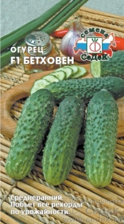 Огурец Бетховен F1 8шт