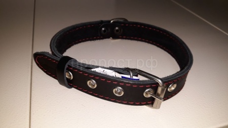 Ошейник кожа 25мм 1слойный Н/У 53-55см/40670 Ошейник кожа 25мм 1слойный Н/У 53-55см/40670