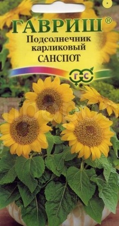 Подсолнечник Санспот карликовый  0,5 г 