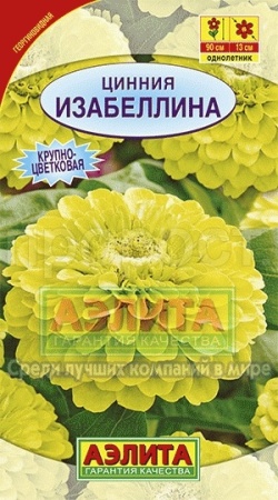 Цинния Изабеллина георгиновидная 