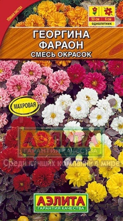 Георгина Фараон смесь 0,3г