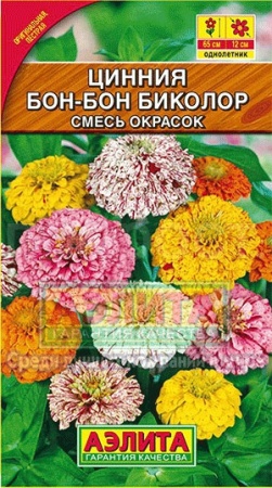 Цинния Бон-бон биколор смесь 0,3г