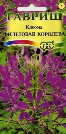 Клеома Фиолетовая королева 0,3гр.