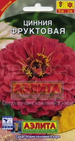 Цинния Фруктовая