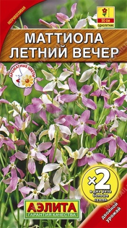 Маттиола Летний вечер 1г