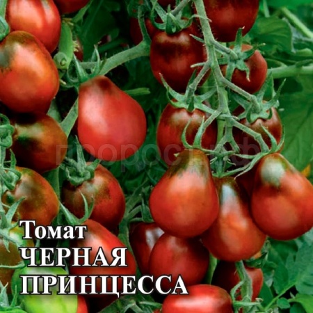 Томат Черная принцесса 5 г