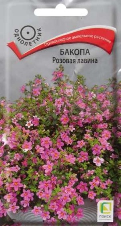 Бакопа Розовая лавина 5шт 
