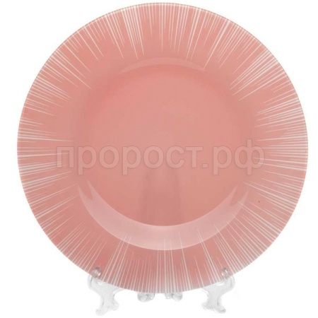 Тарелка обеденная Фокус 260мм розовый /10328SLBD73