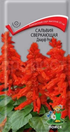 Сальвия сверкающая Дварф ред 0,1г