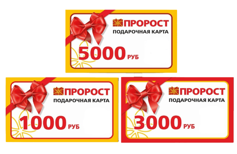 Подарочные карты ПРОРОСТ 